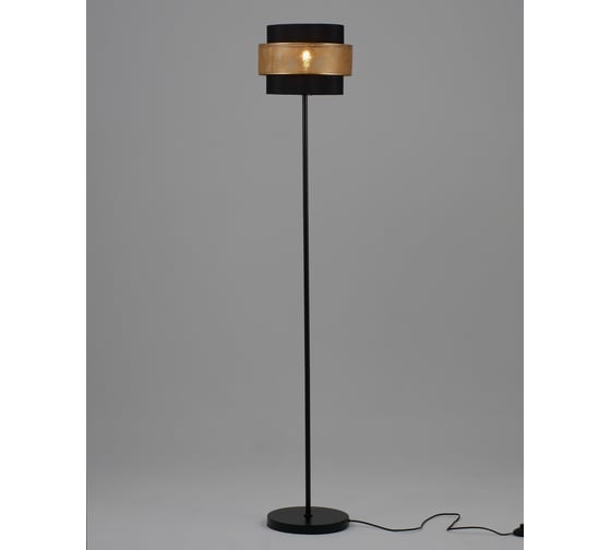 Изображение товара Торшер Moderli Gela V10494-1F