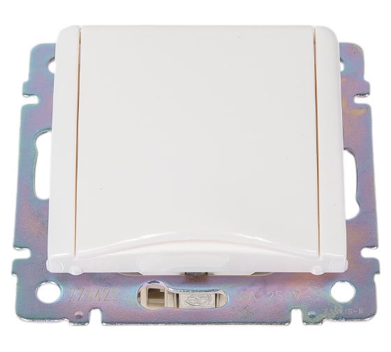 Изображение товара Розетка Legrand с заземлением Legrand Valena со шторками с защитной крышкой 16А 250В винтовые зажимы белый 694270