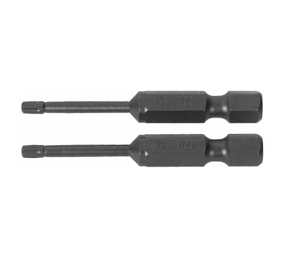 Изображение товара Биты "EXPERT" (E 1/4"; Т 25; 50 мм; 2 шт.) KRAFTOOL 26125-25-50-2