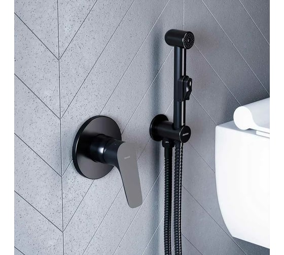 Изображение товара Смеситель монтируемый в стену Damixa Jupiter черный 777500300