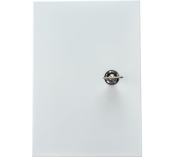 Изображение товара Щит с монтажной панелью ООО Вектор 33 ЩМП-3.2.1-0 серии BASIS IP54 300х210х150 У2 С54024