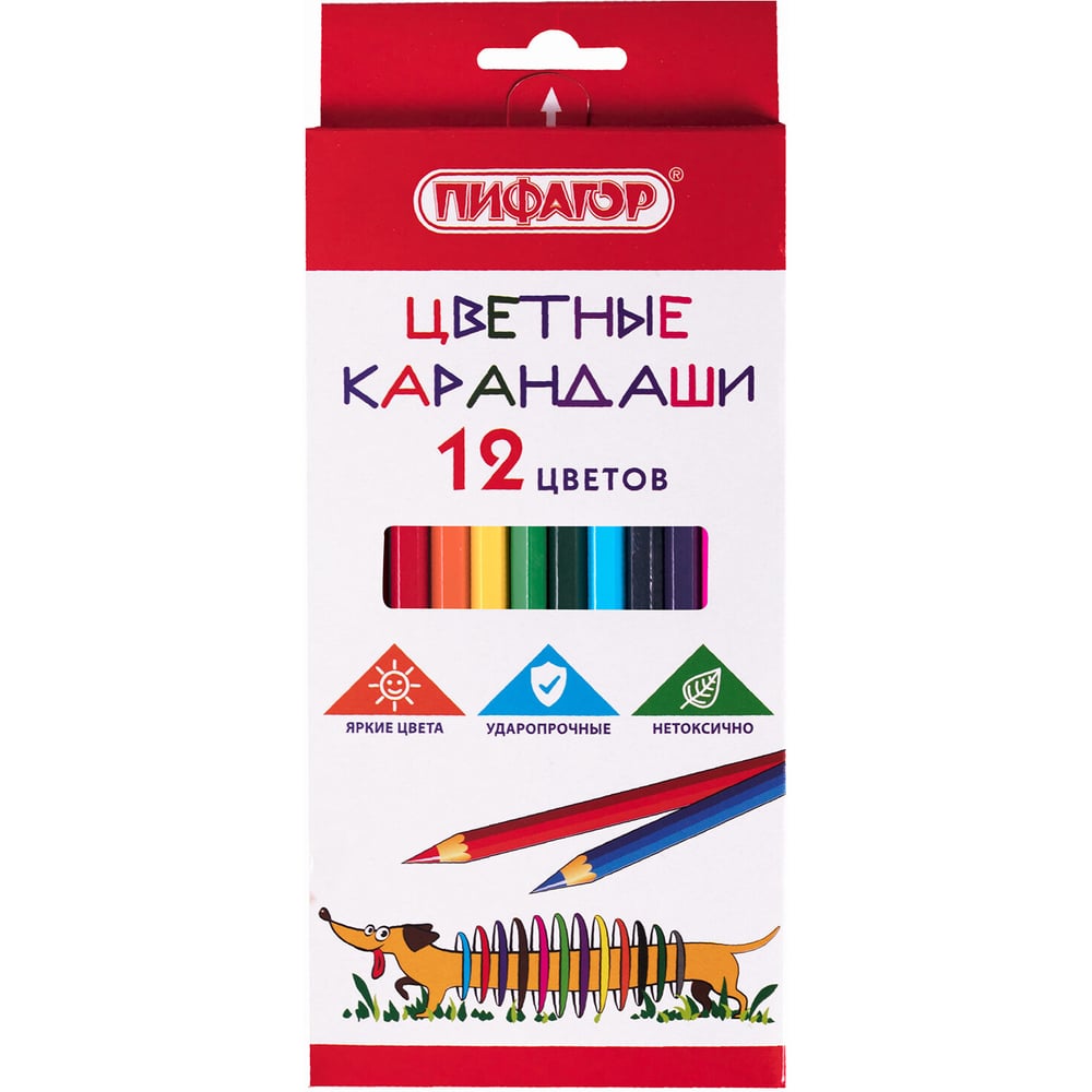 Изображение товара Цветные карандаши ПИФАГОР Веселая такса, 12 цветов, классические, заточенные 181806