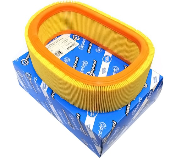 Изображение товара Фильтр воздушный для а/м Renault Logan I 04-11, Sandero 08-11, Clio II 98-05, Lada Largus Riginal RGC26721