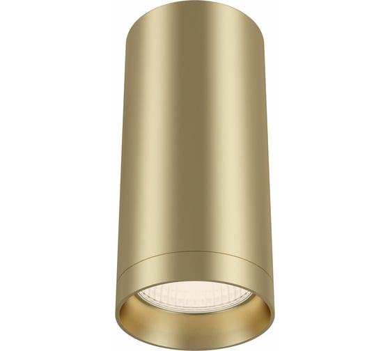 Изображение товара Потолочный светильник MAYTONI Focus 1xGU10x50W C010CL-01MG