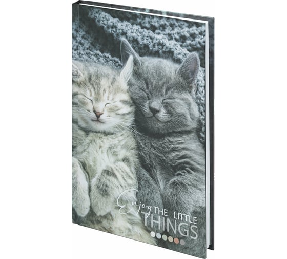 Изображение товара Блокнот STAFF Котики А5 134x206 мм, 80 листов, твёрдый, клетка 114413