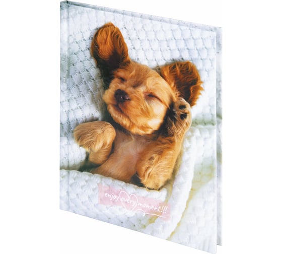 Изображение товара Блокнот STAFF Щеночек малый формат 103x146 мм, А6, 80 листов, твёрдый, клетка 114440