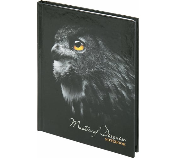 Изображение товара Блокнот STAFF Сова малый формат 103x146 мм, А6, 80 листов, твёрдый, клетка 114437