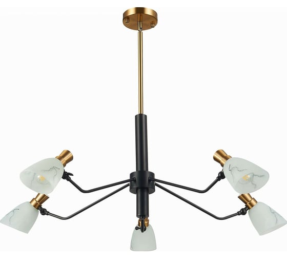 Изображение товара Люстра на штанге Evoluce Lita SLE205403-05