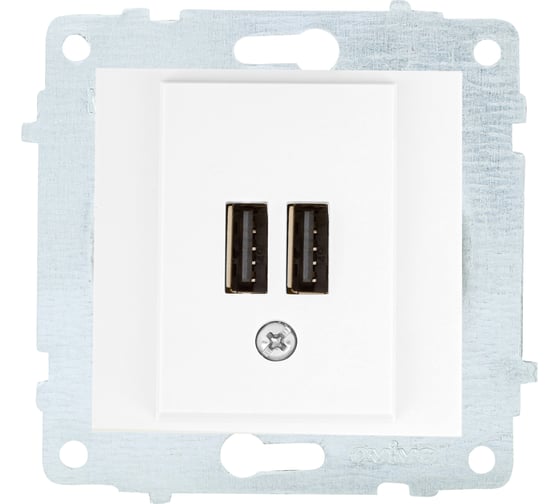 Изображение товара Механизм розетки USB OVIVO 5V-2A 2 порта, белый, 600-000301-247