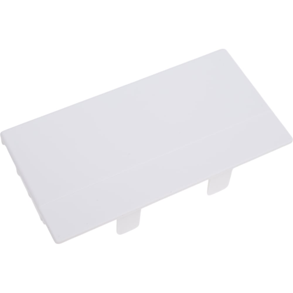 Изображение товара Торцевая заглушка SPL для кабельного канала 100x50 мм 20 шт