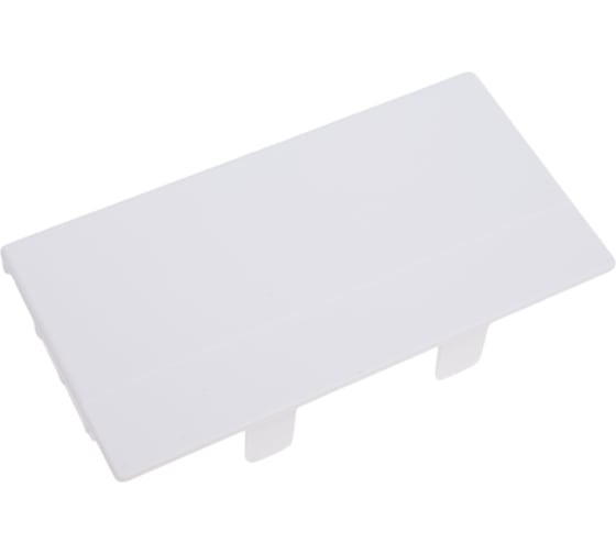 Изображение товара Торцевая заглушка SPL для кабельного канала 100x50, 20 шт. 100002S