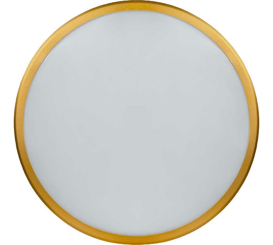 Изображение товара Настенно-потолочный светильник Navigator 80 500 nlf-c-014-02 80500