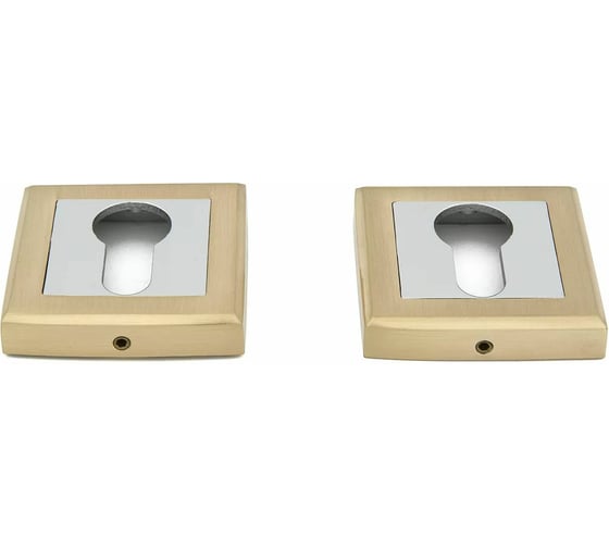 Изображение товара Накладка на цилиндр Palladium CS ET SG/CP 00011386