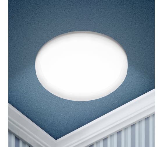 Изображение товара Встраиваемый светодиодный светильник ЭРА LED 11-36-4K круглый, регулируемый, 36Вт, 4000K Б0054322
