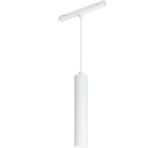 Изображение товара Светильник Arlight MAG-ORIENT-SPOT-HANG-R45-12W Day4000 035828