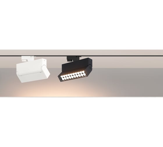 Изображение товара Светильник Arlight LGD-LOFT-TRACK-2TR-S170-10W Day4000 036470