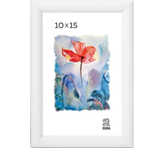 Изображение товара Пластиковая фоторамка Зебра PS_500_10x15, 10x15 см X7484210
