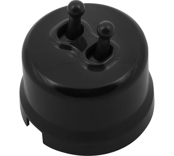 Изображение товара 2-клавишный выключатель Bironi, пластик, цвет черный (тумблерный) B1-232-23