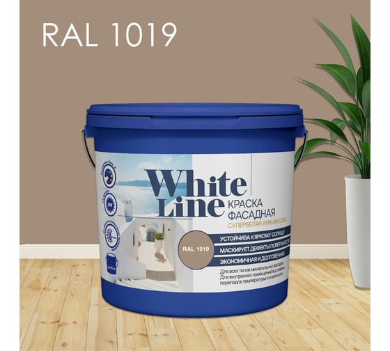 Изображение товара Фасадная колерованная краска White Line Ral 1019 (вед 2,7 л/3,4 кг) 4690417099177