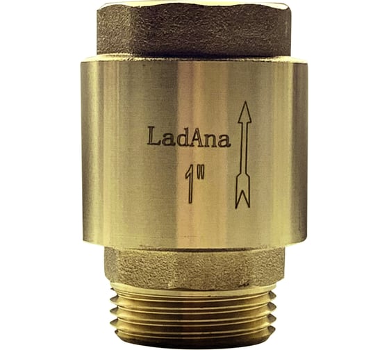 Изображение товара Обратный клапан подпружиненный с латунным сердечником LadAna 1" 100605014