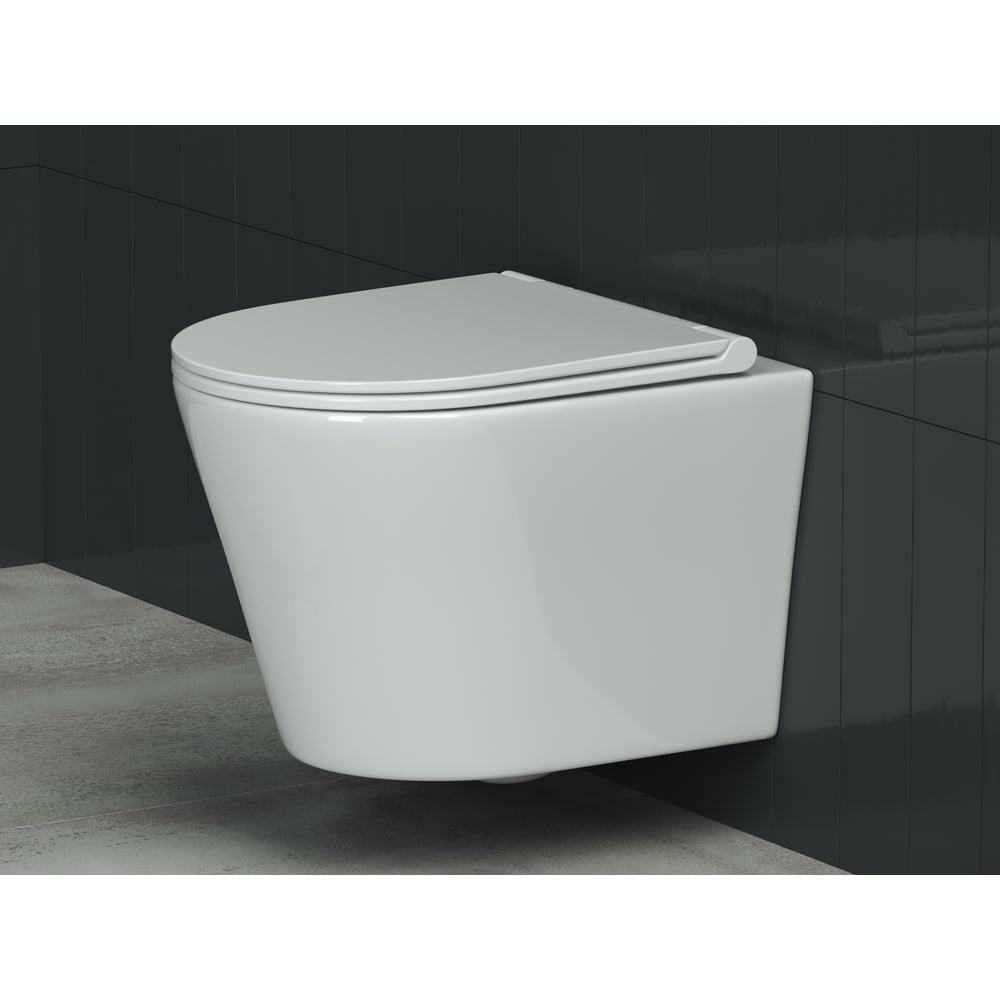 Подвесной унитаз Ceramicanova Rimless CN3011 имеет современный и лаконичный дизайн. В комплекте быстросъемное сиденье из дюропласта с функцией микролифт. Механизм плавного опускания - комфорт в использовании, механизм быстрого снятия - легкость в уходе за сиденьем. Конструкция безободкового унитаза упрощает процесс уборки и повышает гигиеничность. Форма воронки унитаза предотвращает образование брызг.
