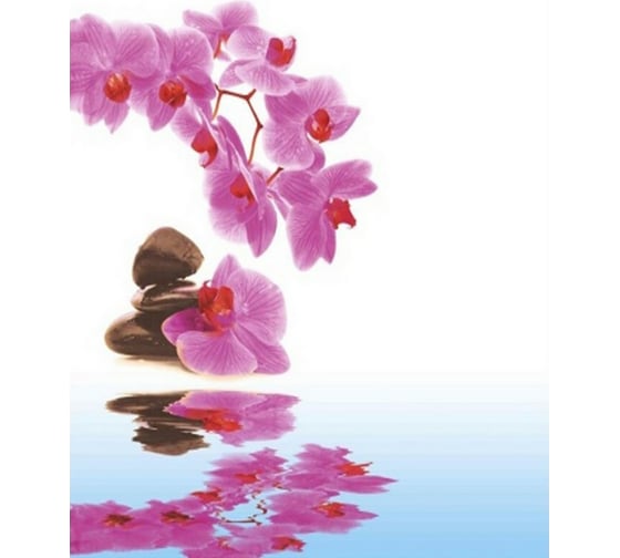 Изображение товара Штора для ванной Zalel Фотопринт 180*180 Орхидея YQL-DX-132 без колец 543231