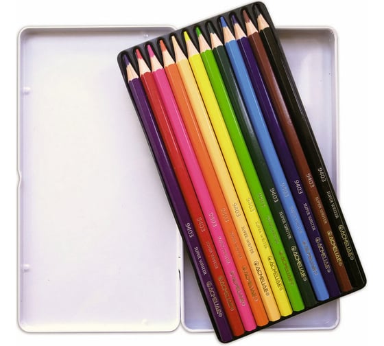 Изображение товара Набор цветных карандашей ACMELIAE 12цв. в металлическом футляре 9800-12