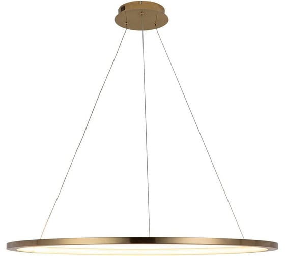 Изображение товара Подвесной светильник LOFT IT Ring 10014XL