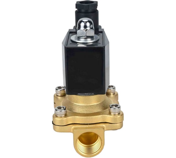 Изображение товара Клапан электромагнитный DN.ru VS2W-300E-NO Ду8 Ру10 двухходовой, латунь, EPDM, 220В AC D130-01725