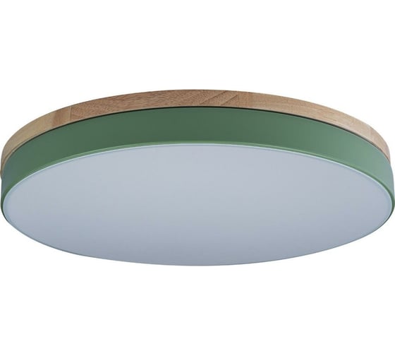 Изображение товара Накладной светильник LOFT IT Axel 10001/36 Green