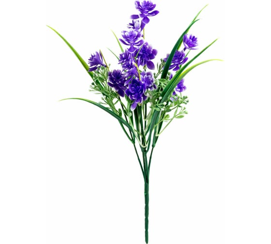Изображение товара Цветок Волшебная страна Дельфиниум 003826