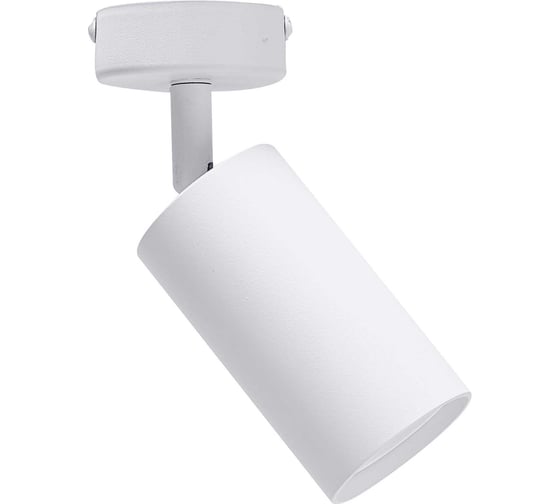 Изображение товара Накладной поворотный светильник truEnergy GU10 D55xH100мм IP20 белый/алюминий 21330