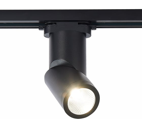 Изображение товара Светильник на штанге ST Luce ST650 ST650.446.10