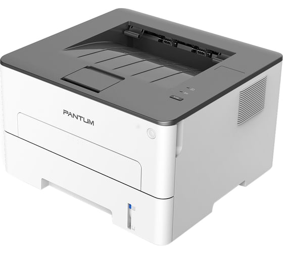 Изображение товара Принтер Pantum mono laser P3010D