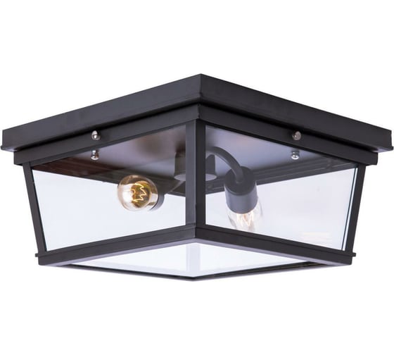 Изображение товара Накладной светильник LOFT IT Modern Filament LOFT3110-2C