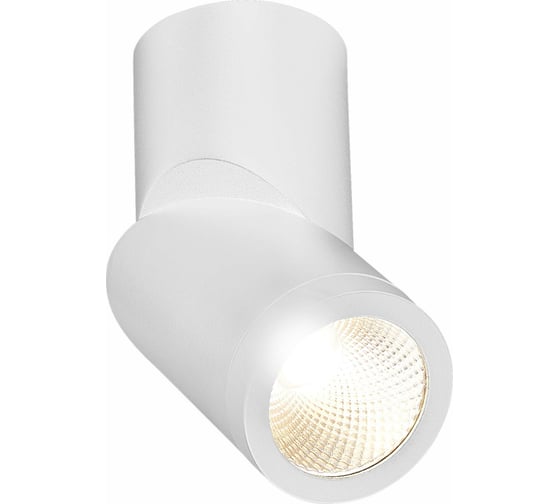 Изображение товара Светильник на штанге ST luce ST650 ST650.532.10