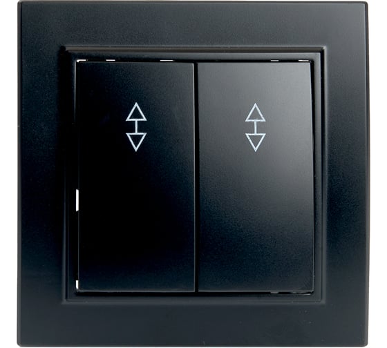 Изображение товара 2-клавишный переключатель STEKKER psw10-9008-03, 250в, 10а, серия эрна, черный, 39921