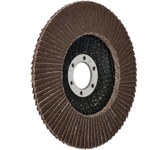 Изображение товара Диск лепестковый 125 мм, P60 DRAUMET 8659