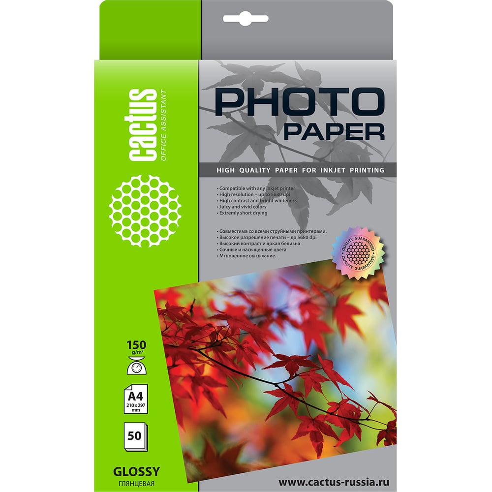 Изображение товара Фотобумага Cactus А4, 150г/м2, 50 листов, глянцевая