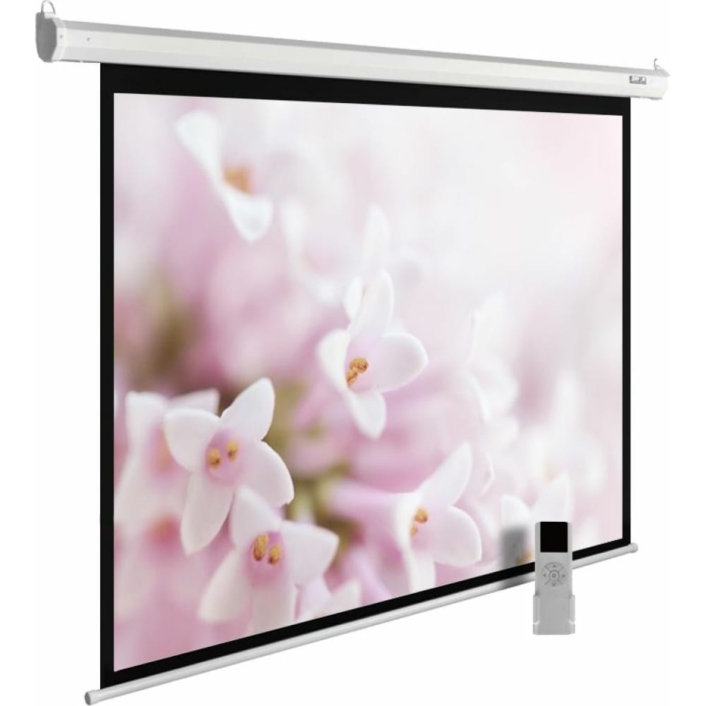 Настенно-потолочный рулонный экран Cactus чайник электрический bosch twk7500k 2400 вт розовый 1 3 л пластик