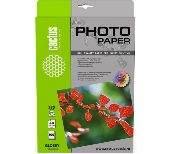 Изображение товара Фотобумага для струйной печати Cactus А4, 230г/м2, 100 листов, белая, глянцевая CS-GA4230100 805821