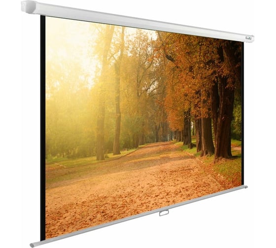 Изображение товара Настенно-потолочный рулонный экран Cactus WallExpert 16:10, 125x200 см CS-PSWE-200X125-WT 407886