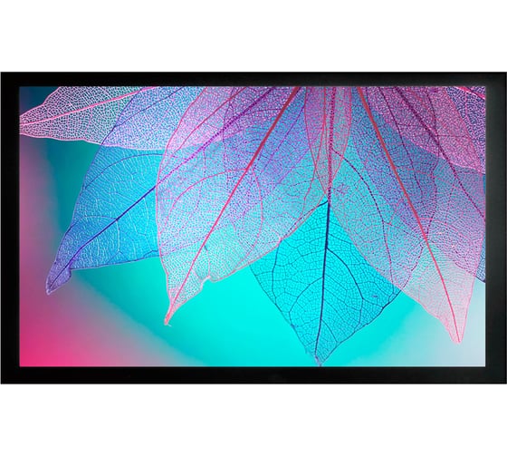 Изображение товара Настенный натяжной экран на раме Cactus FrameExpert 16:9, 124x220 см CS-PSFRE-220X124 1070208