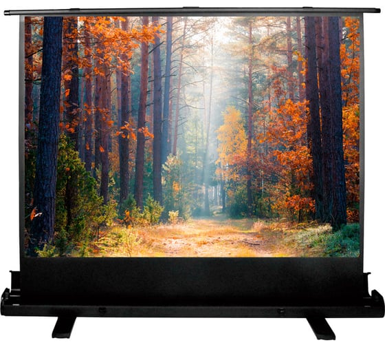 Изображение товара Напольный рулонный экран Cactus FloorExpert 4:3, 135x180 см CS-PSFLE-180X135 1070256