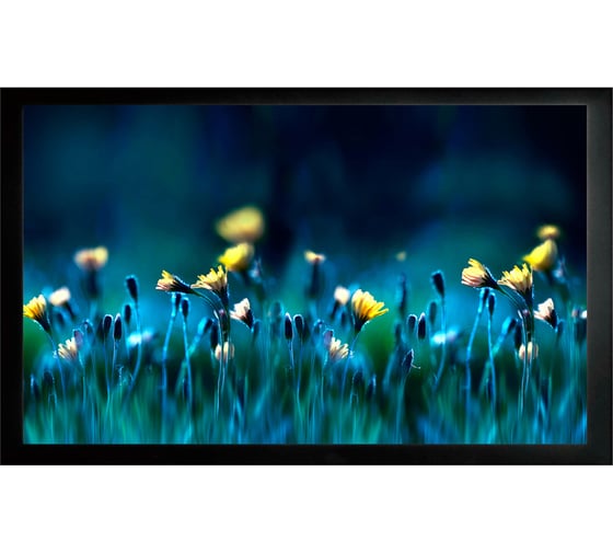 Изображение товара Настенный натяжной экран на раме Cactus FrameExpert 16:9, 113x200 см CS-PSFRE-200X113 1070207