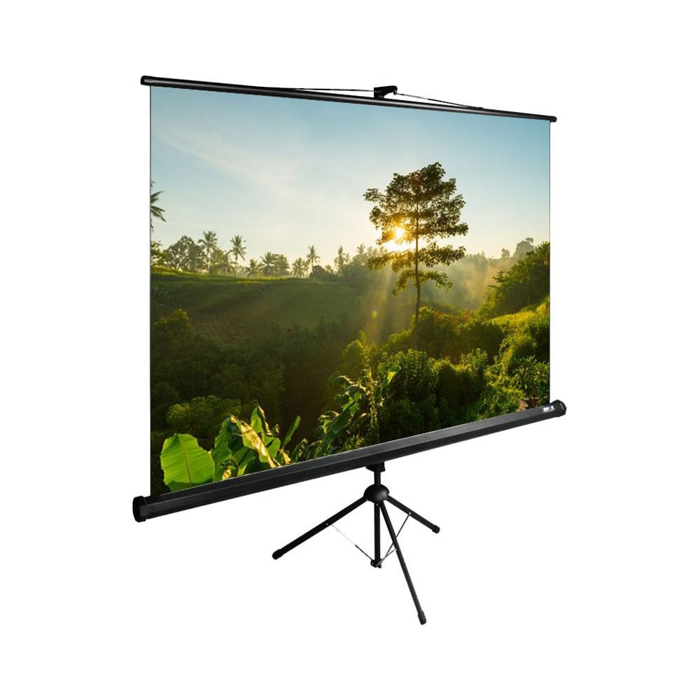 Напольный рулонный экран Cactus экран cactus triscreen cs pst 180x180