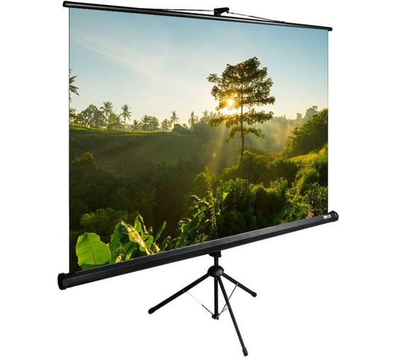 Изображение товара Напольный рулонный экран Cactus TriExpert 1:1, 200x200 см, черный CS-PSTE-200X200-BK 1019974