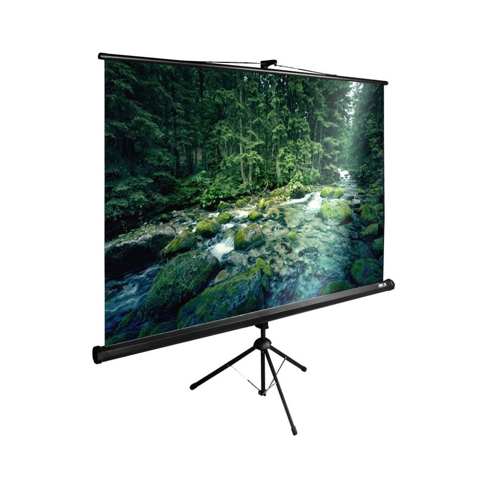 Изображение товара Напольный рулонный экран Cactus TriExpert 4:3 165x220 см черный