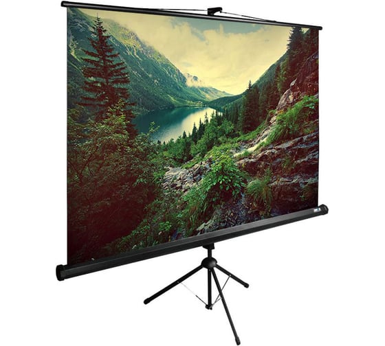 Изображение товара Напольный рулонный экран Cactus TriExpert 1:1, 220x220 см, черный CS-PSTE-220X220-BK 1020784