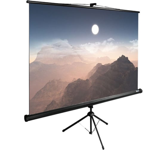 Изображение товара Напольный рулонный экран Cactus TriExpert 1:1, 180x180 см, черный CS-PSTE-180X180-BK 1019817